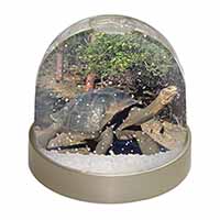 Giant Galapagos Tortoise Snow Globe Photo Waterball