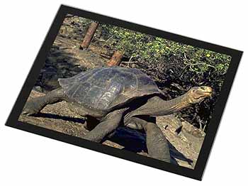 Giant Galapagos Tortoise Black Rim High Quality Glass Placemat