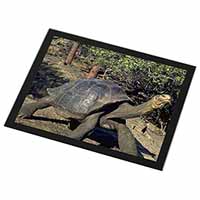 Giant Galapagos Tortoise Black Rim High Quality Glass Placemat