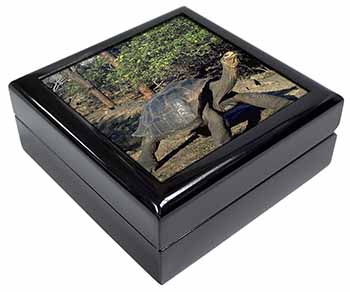 Giant Galapagos Tortoise Keepsake/Jewellery Box