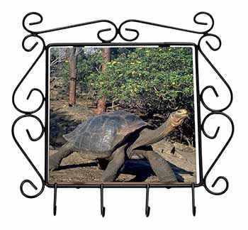 Giant Galapagos Tortoise Wrought Iron Key Holder Hooks