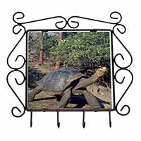Giant Galapagos Tortoise Wrought Iron Key Holder Hooks