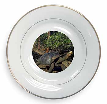 Giant Galapagos Tortoise Gold Rim Plate Printed Full Colour in Gift Box