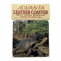 Giant Galapagos Tortoise Single Leather Photo Coaster