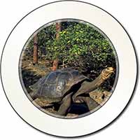 Giant Galapagos Tortoise Car or Van Permit Holder/Tax Disc Holder