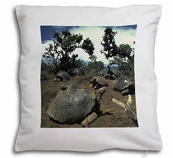 Galapagos Tortoise Soft White Velvet Feel Scatter Cushion