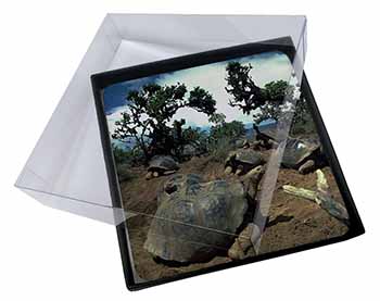 4x Galapagos Tortoise Picture Table Coasters Set in Gift Box