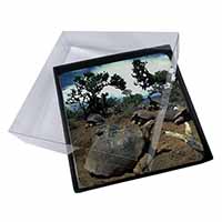 4x Galapagos Tortoise Picture Table Coasters Set in Gift Box