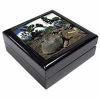 Galapagos Tortoise Keepsake/Jewellery Box