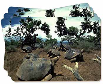 Galapagos Tortoise Picture Placemats in Gift Box