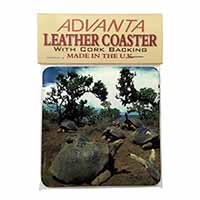 Galapagos Tortoise Single Leather Photo Coaster
