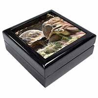 Giant Tortoise Keepsake/Jewellery Box