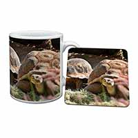 Giant Tortoise Mug and Coaster Set