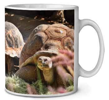 Giant Tortoise Ceramic 10oz Coffee Mug/Tea Cup