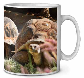 Giant Tortoise Ceramic Coffee Mug/Tea Cup