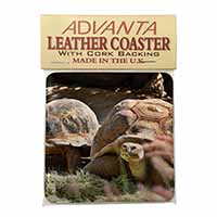 Giant Tortoise Single Leather Photo Coaster
