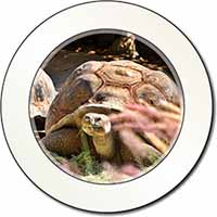 Giant Tortoise Car or Van Permit Holder/Tax Disc Holder