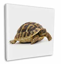 A Cute Tortoise Square Canvas 12"x12" Wall Art Picture Print