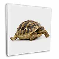 A Cute Tortoise Square Canvas 12"x12" Wall Art Picture Print