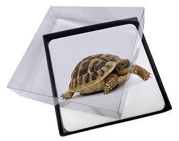 4x A Cute Tortoise Picture Table Coasters Set in Gift Box