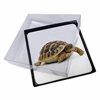 4x A Cute Tortoise Picture Table Coasters Set in Gift Box