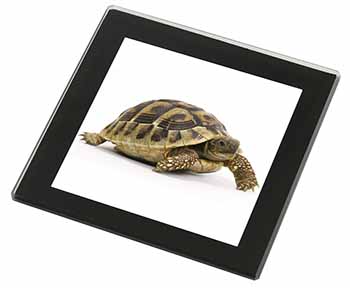 A Cute Tortoise Black Rim High Quality Glass Coaster