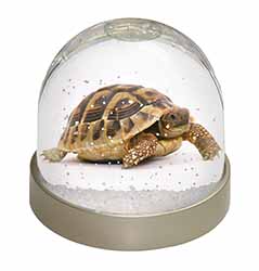 A Cute Tortoise Snow Globe Photo Waterball