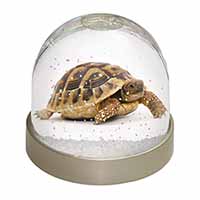 A Cute Tortoise Snow Globe Photo Waterball