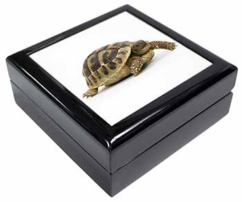 A Cute Tortoise Keepsake/Jewellery Box