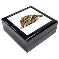 A Cute Tortoise Keepsake/Jewellery Box