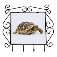 A Cute Tortoise Wrought Iron Key Holder Hooks