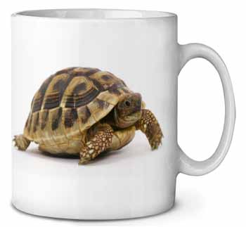 A Cute Tortoise Ceramic 10oz Coffee Mug/Tea Cup