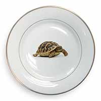 A Cute Tortoise Gold Rim Plate Printed Full Colour in Gift Box