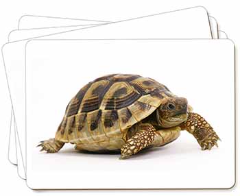 A Cute Tortoise Picture Placemats in Gift Box