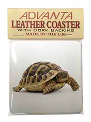 A Cute Tortoise Single Leather Photo Coaster