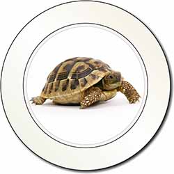 A Cute Tortoise Car or Van Permit Holder/Tax Disc Holder