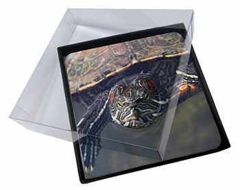 4x Terrapin Intrigued by Camera Picture Table Coasters Set in Gift Box