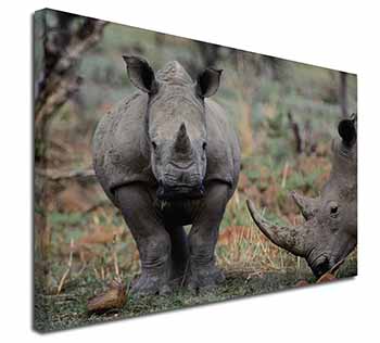 Rhinocerous Rhino Canvas X-Large 30"x20" Wall Art Print