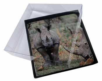 4x Rhinocerous Rhino Picture Table Coasters Set in Gift Box