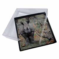 4x Rhinocerous Rhino Picture Table Coasters Set in Gift Box