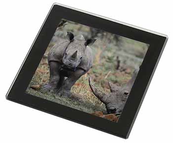 Rhinocerous Rhino Black Rim High Quality Glass Coaster