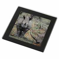 Rhinocerous Rhino Black Rim High Quality Glass Coaster