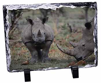 Rhinocerous Rhino, Stunning Photo Slate