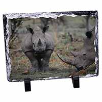 Rhinocerous Rhino, Stunning Animal Photo Slate