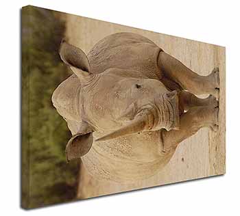 Rhinocerous Rhino Canvas X-Large 30"x20" Wall Art Print