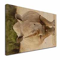 Rhinocerous Rhino Canvas X-Large 30"x20" Wall Art Print