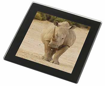 Rhinocerous Rhino Black Rim High Quality Glass Coaster