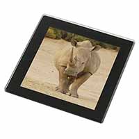 Rhinocerous Rhino Black Rim High Quality Glass Coaster