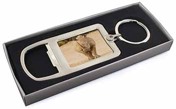 Rhinocerous Rhino Chrome Metal Bottle Opener Keyring in Box