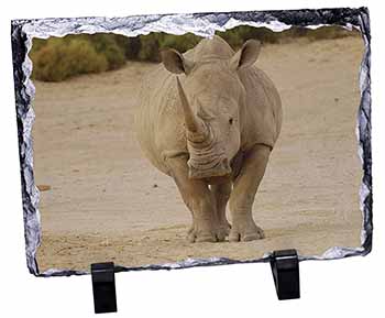 Rhinocerous Rhino, Stunning Photo Slate